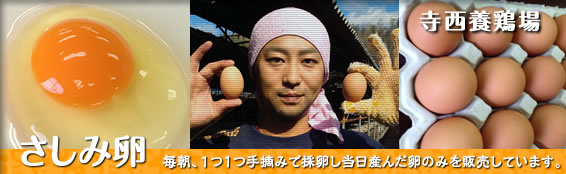 寺西養鶏場「さしみ卵」